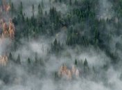 Геращенко рассказал, кто является причиной лесных пожаров в Украине в 95% случаев