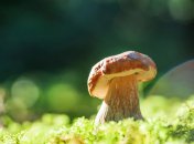 7 сентября. Приметы дня