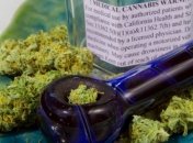 В Германии возросли продажи медицинской конопли