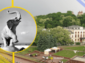 Иллюстративное фото