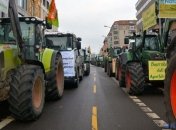 Фермеры и защитники животных протестовали в Берлине