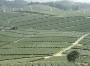 Правительство Украины создало Государственный земельный банк