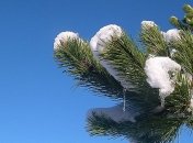 16 января - приметы и обряды в День Гордея и Малахии