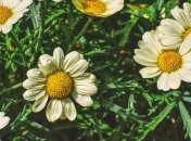 Приметы и обряды на 17 июля - День Андрея