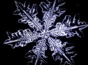 Потрясающая замедленная съемка снежинки на микроскопическом уровне (Видео)