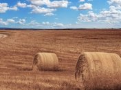 "Слуга народа" прогнозирует сценарий Молдовы после открытия рынка земли