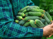 Вы могли не знать, но горечь можно исправить