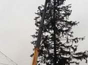 Молдове вернут деньги за поврежденную Рождественскую елку из Украины
