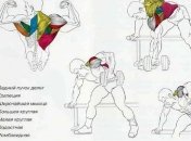 Как правильно выполнять тягу гантели одной рукой?