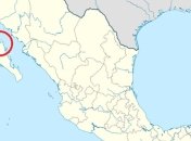 В Мексике обнаружены обломки пропавшего самолета 