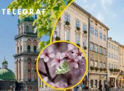 Погода во Львове