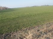 Верховная Рада будет работать над созданием рынка земли в Украине