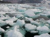 Ученые зарегистрировали раскол самого древнего льда Арктики