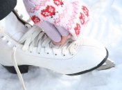 Украина планирует представить в Канаде проект ледовой арены в Киеве