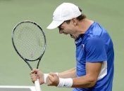 Кубок Дэвиса. Чехия сравнивает счет