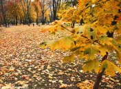 Яку погоду очікувати восени