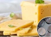 Ціни на твердий сир в 2025