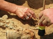 Японские археологи обнаружили уникальный артефакт