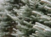 Какой праздник 15 декабря: народные приметы и запреты