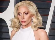 Lady Gaga поразила публику откровенным нарядом