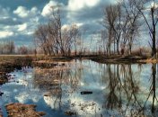 Погода в Украине изменится в конце февраля