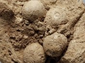 Археологи нашли таинственное доисторическое послание  