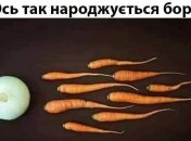 Новое название горохового супа — угадай мелодию: веселые шутки про первое блюдо