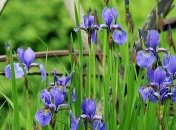 Погода на неделю: в Украине прогнозируют грозы, ветер и заморозки