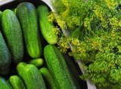 Приметы и обряды на 2 июня – День Фалатея-Огуречника