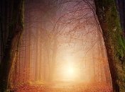 Осень даст о себе знать: прогноз погоды на сегодня