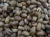 В Греции погиб урожай фисташек