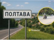 Екзотичний учасник дорожнього руху привернув увагу