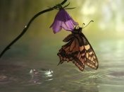 Прогноз погоды в Украине 25 августа: ожидается небольшое потепление 