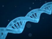 Создан флуоресцентный микроскоп, который изучает клетку еще более детально