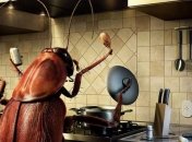 Почему исчезли тараканы?