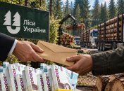 "Леса Украины"