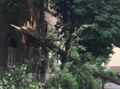 В результате грозы и ветра без света в Украине остались 129 населенных пунктов