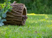 Какой сегодня праздник - День святого Феодора