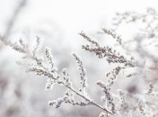 Какой праздник 21 февраля: народные приметы и запреты