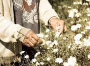 Яке церковне свято 10 травня 2025 - День пам'яті апостола Симона Зилота