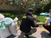 В Ровенской области полиция изъяла почти тонну янтаря 