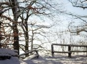 Прогноз погоды в Украине на 6 января: ожидают солнце