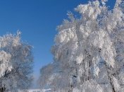 Прогноз погоды в Украине на сегодня: дождь и снег на западе