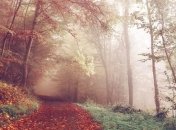 Пора менять шины: синоптик предупредила о новых капризах погоды в Украине