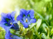 27 июня. Приметы дня