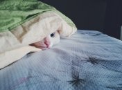 Зима без отопления: чем надо обзавестись до наступления холодов