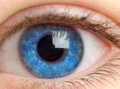 Ученые обнаружили бактерии, которые защищают глаза от инфекций