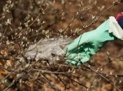 В Украине могут запретить пластиковые пакеты: комитет Рады поддержал инициативу