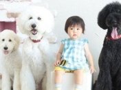 Маленькая девочка и ее гигантский пудель - самое милое, что вы сегодня увидите (Фото) 