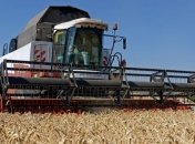 Минагропрод отчитался о рекордном урожае зерновых 